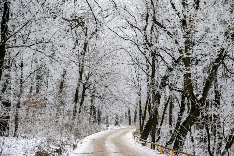 Több helyen is havazhat az év utolsó napján: szilveszteri hózáporok jöhetnek, majd gyors enyhülés érkezik